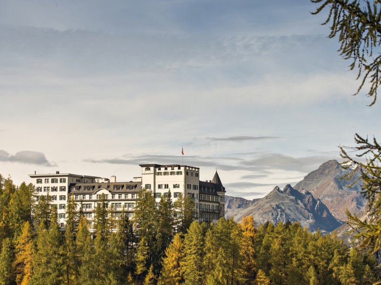 *****Hotel Waldhaus